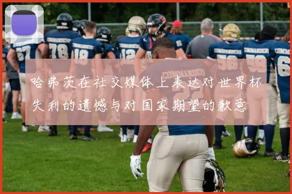 哈弗茨在社交媒体上表达对世界杯失利的遗憾与对国家期望的歉意